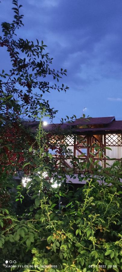 Guest House Albatros โชลปอน-อาตา ภายนอก รูปภาพ