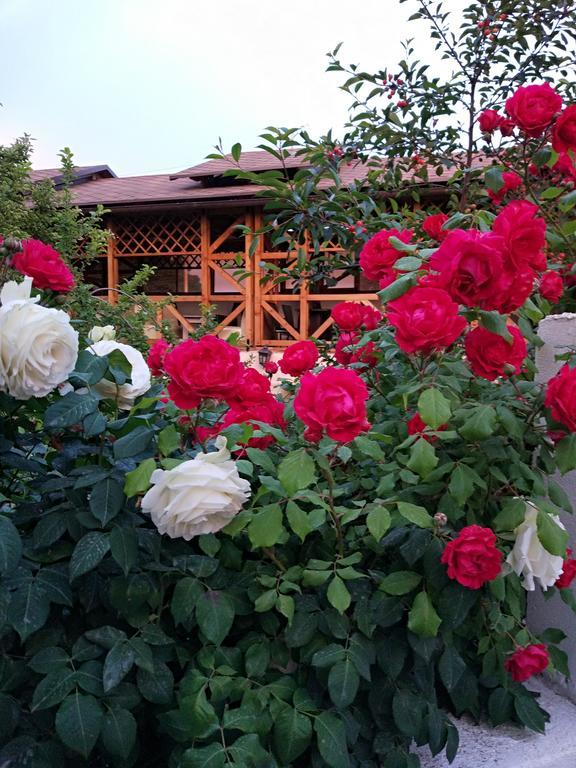 Guest House Albatros โชลปอน-อาตา ภายนอก รูปภาพ