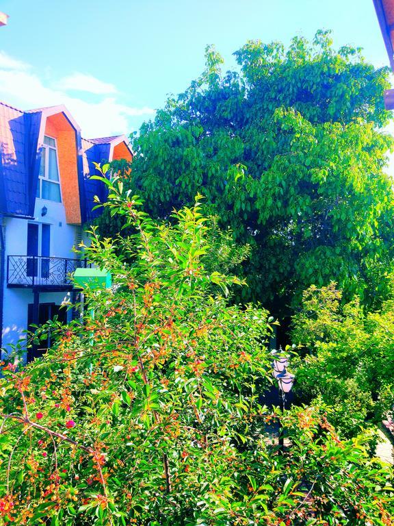 Guest House Albatros โชลปอน-อาตา ภายนอก รูปภาพ