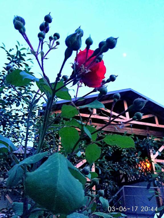 Guest House Albatros โชลปอน-อาตา ภายนอก รูปภาพ