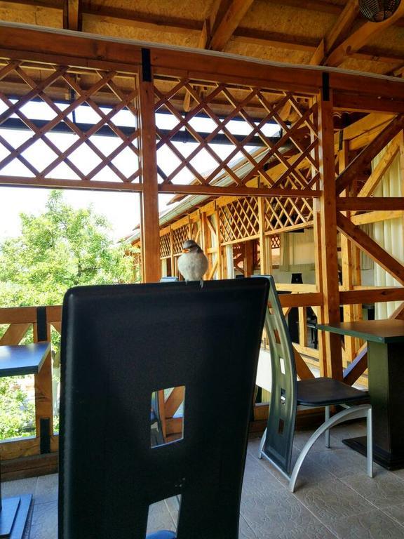 Guest House Albatros โชลปอน-อาตา ภายนอก รูปภาพ