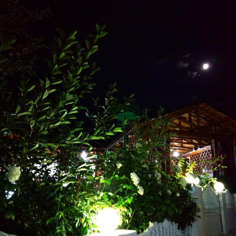 Guest House Albatros โชลปอน-อาตา ภายนอก รูปภาพ